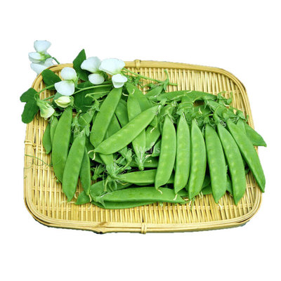 光明蔬菜配送 食材批發 光明送菜公司