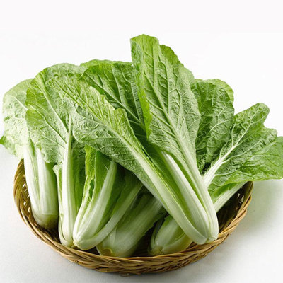 松崗蔬菜配送 食材批發 松崗送菜公司
