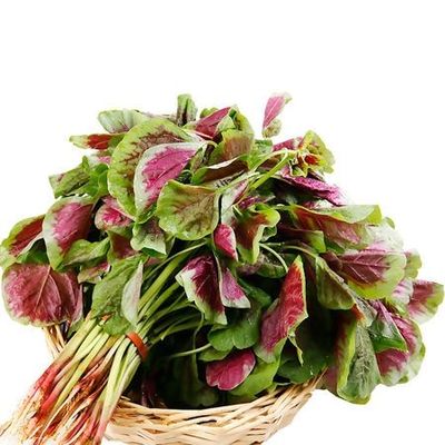 坑梓蔬菜配送 食材批發 坑梓送菜公司