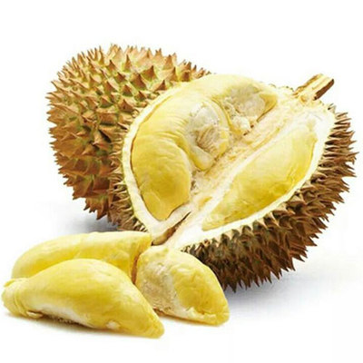 深圳市龍崗區水果配送 食材蔬菜配送