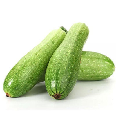 坪山蔬菜配送 食材批發 坪山送菜公司
