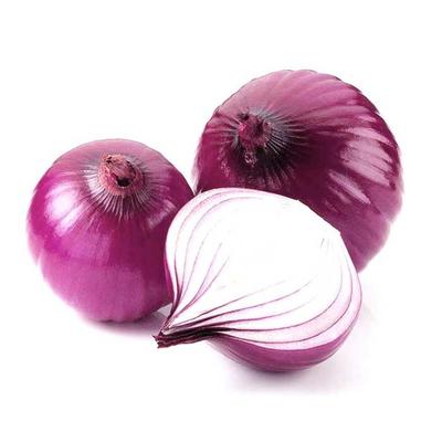 龍崗蔬菜配送 食材批發 龍崗送菜公司