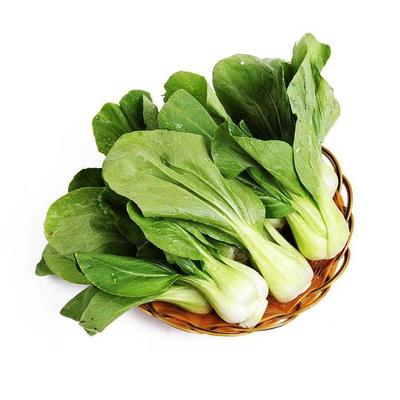 龍華蔬菜配送 食材批發 龍華送菜公司